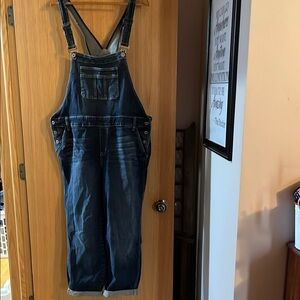 Torrid Women's Denim Overalls